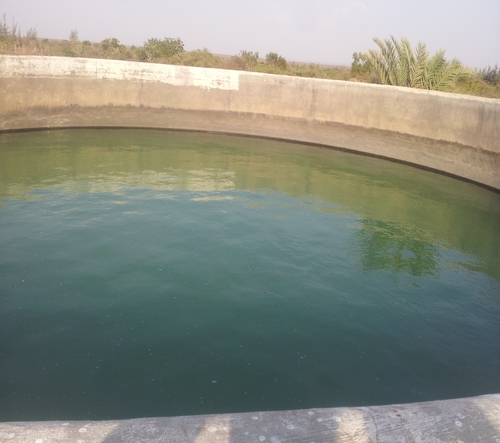 Ponds for Mango Farm