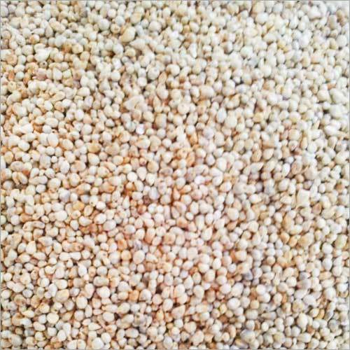 Millet Exporter