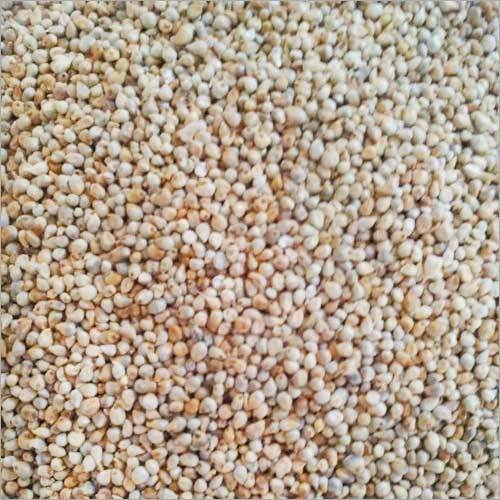Millet Seeds