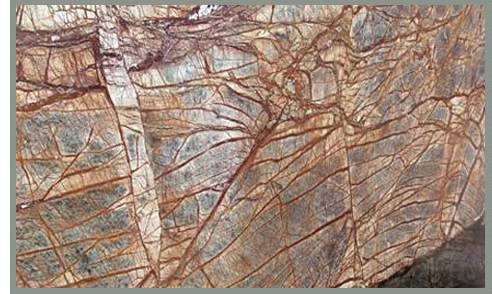 Rainforest Brown