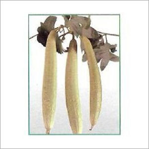 Sponge Gourd Seeds