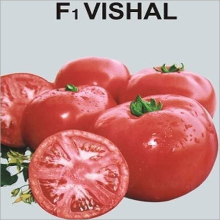 Tomato Seeds