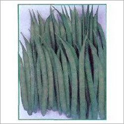Frozen French Beans