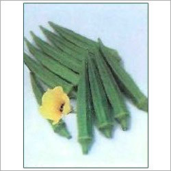 Hybrid Okra Seeds