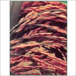 Paddy Super Seeds