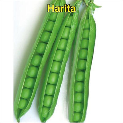 Green Peas Seeds