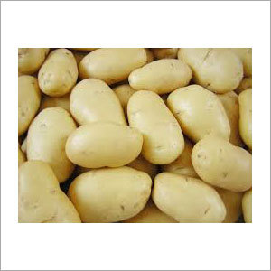 Fresh Potato