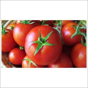 Red Tomato