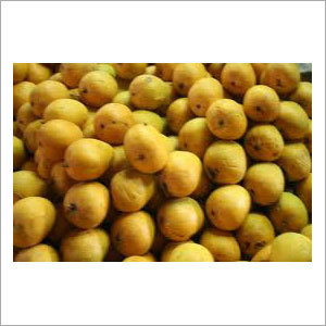 Kesar Mango