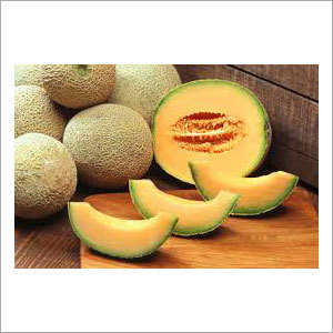 Musk Melon