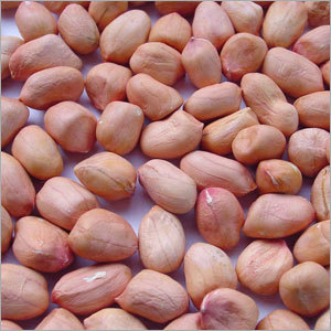 Fresh Peanuts