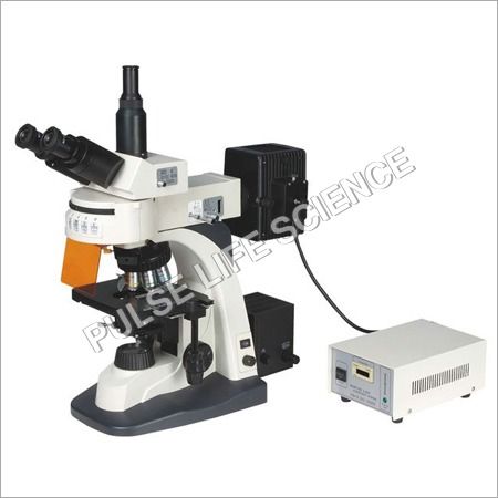 5 Band Fluorescence Microscope