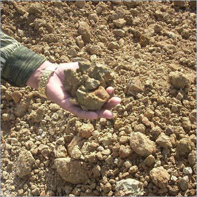 Bentonite Powder