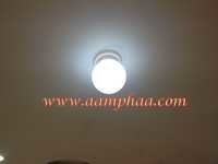 White Coloured Light Bulbs