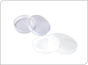 Petri Dish