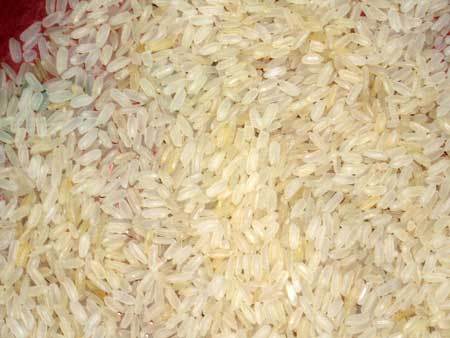 IR-8 Parboiled Short Grain Non Basmati Rice - Broken 15% Max, Moisture 14% Max | Short Grain, Consistent Texture, Versatile Use