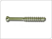 Cannulated Screw