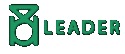 Leader Valves Ltd
