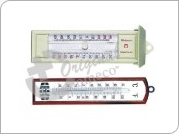 Thermometer Max & Min