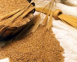 Specification of wheat seeds