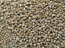 Millet grains