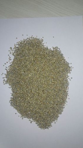 Green Pearl Millet Seeds, Yellow Millet Seed Suppliers