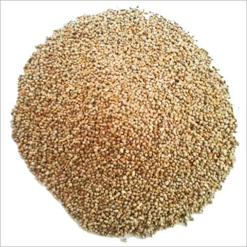 Millet Seeds Exporters