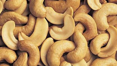Scorched Cashew Nut Kernel Whole SW 180