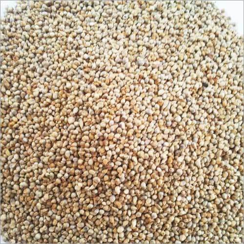 Millet Seed Selling Price - Pearl Millet 12-14% Moisture, 8-9% Protein | High Energy, Nutritious, Multiple Grades, Various Packaging