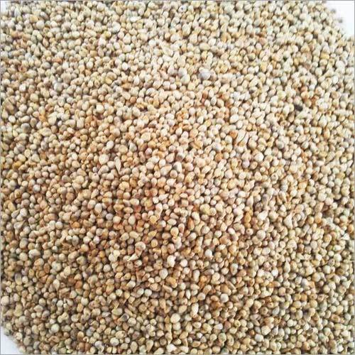 Millet Seed Seller