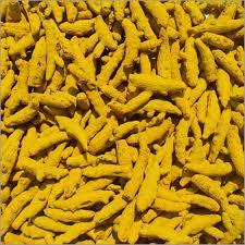 Turmeric Finger Price - Finger/Bulbs, Hard, Moisture 10%, Lead 2.5 PPB | Strong Taste, Pure, Versatile, Food Coloring, Cosmetics