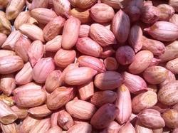 Peanut Kernel Bold 80 90