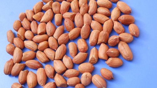 Peanut Kernel Java 40 50