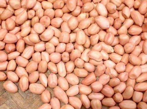 Peanut Kernel Java 60 70
