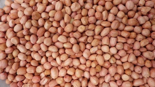 Peanut Kernel Java 70 80