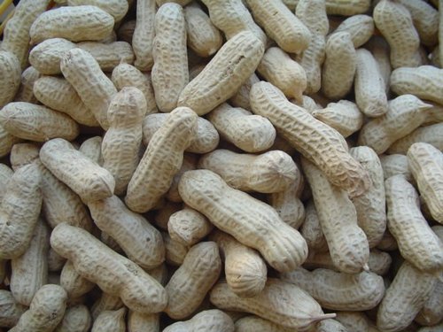 Dry Fruits