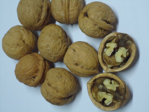 Walnut in Shell Size 34 mm Superior Grade
