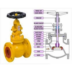 Globe Valve