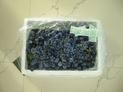 Indian Grapes Black