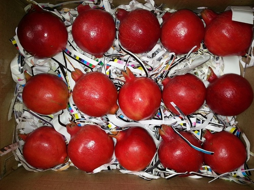 Fresh Pomegranate Bhagawa 