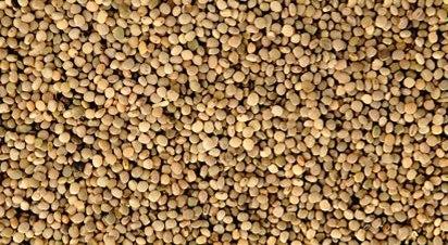 Guar Gum Grade 1