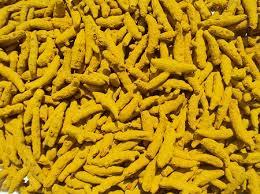 Turmeric Fingers Best Prices