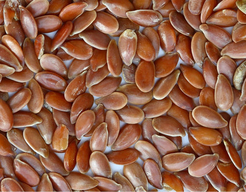 Oil Seed