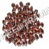 इमली के बीज