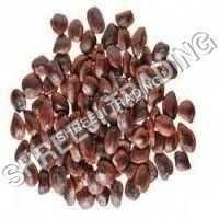 इमली के बीज