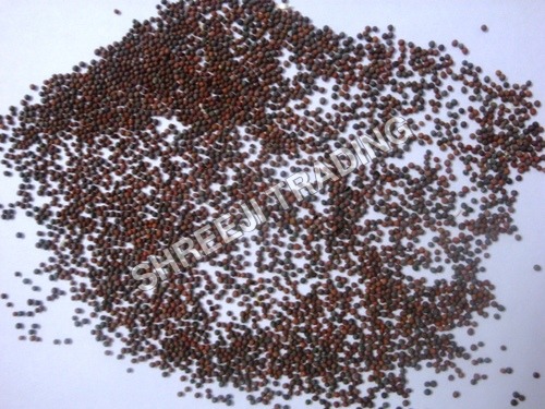 Rapeseed Rapeseed