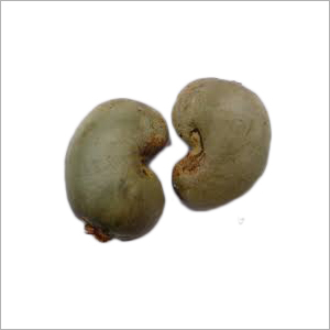 Raw Cashew Nut