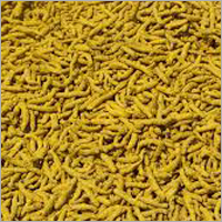 Organic Dried Turmeric