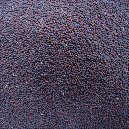 Dry Mustard Seeds