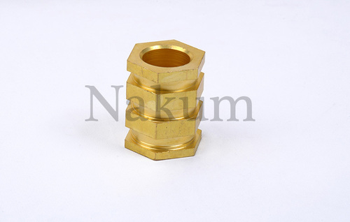 Brass CNG Auto Part